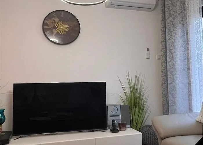 - Anonim 1 I 2 브르드니크