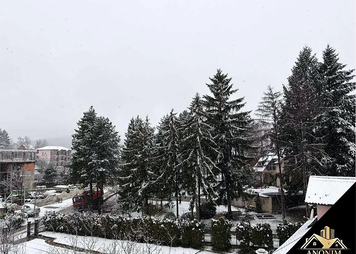 - Anonim 1 I 2 * 브르드니크